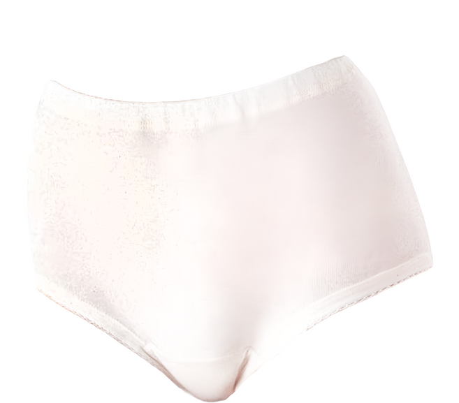 gunze グンゼ 失禁內褲 女性 50cc 日本 輕度失禁 漏尿用內褲, L, 1入, 1件