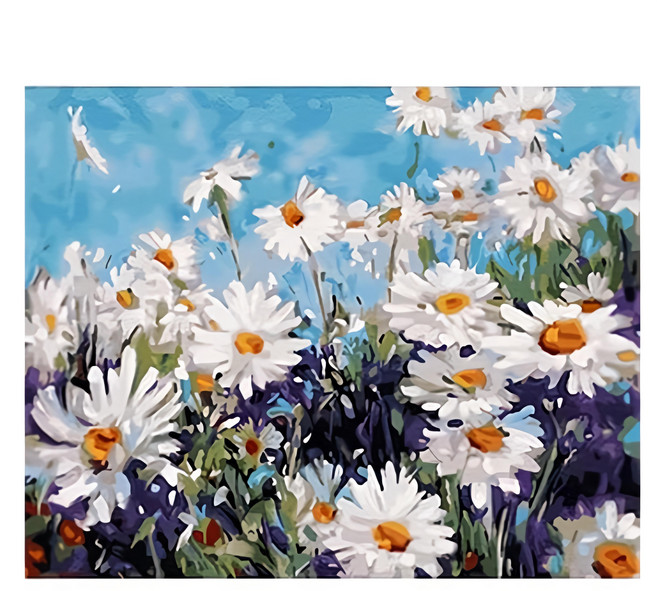 ArtLife 藝術生活 數字油畫DIY 50512 50 x 65cm, 千菊飛, 1個