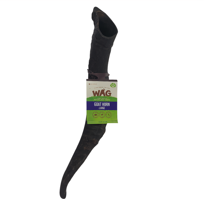 WAG 天然澳 完整羊角 大 磨牙零食 3個月以上中小型犬適用, 羊角, 135g, 1個