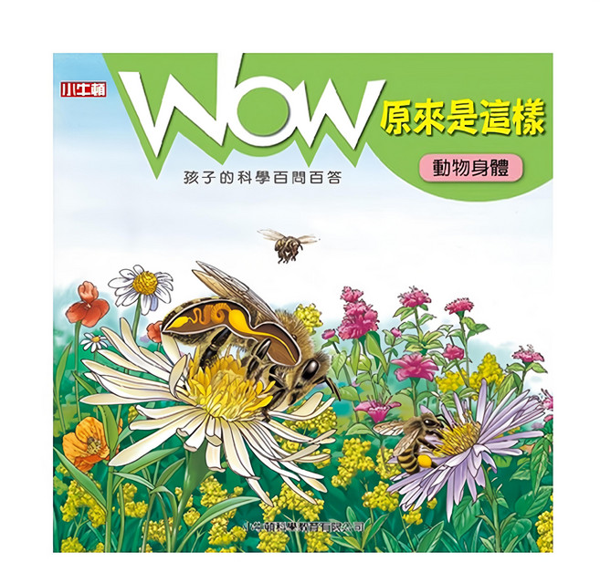 小牛頓 WOW原來是這樣 動物身體, 平裝書