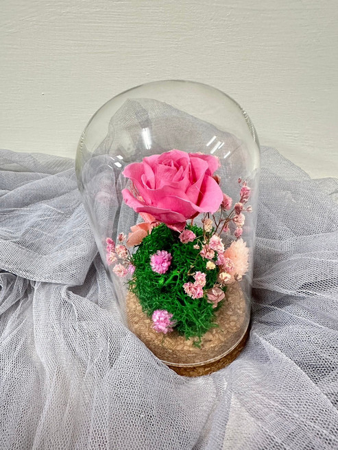 永生玫瑰玻璃罩乾燥花藝術擺飾, 粉色