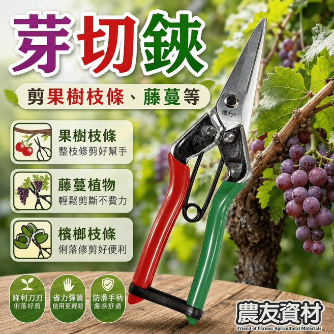濾利 芽切鋏 園藝剪刀, 1個