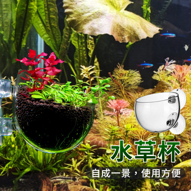 空中水草杯 造景盆 水晶玻璃水草杯 飼育杯, 1個
