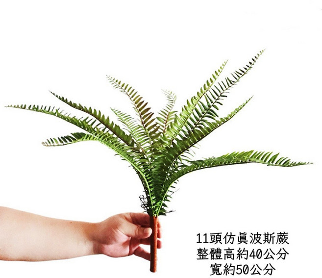 仿真波斯蕨 假植物 綠色植物, 1個