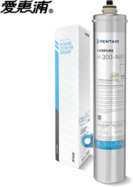愛惠浦 PENTAIR EVERPURE H300-NXT 活性碳濾芯, 1個