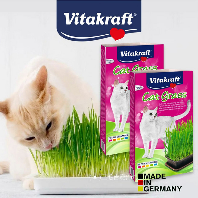 Vitakraft 德國貓草栽種套組 盒裝120g 快速發芽 7日可食, 1個