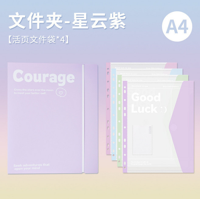 活頁文件夾 透明資料冊 A4 文件收納袋, 1個, 文件夾【紫色】+4個文件袋