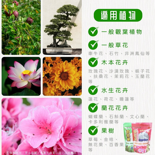 萬泰豐團購 超簡便自然分解有機肥 肥料 開花肥料 碩果用肥 蓮花種子 碗蓮種子 現貨隔日配, 1個, 開花用肥 40小包/袋