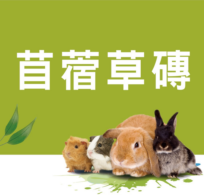 【台灣製】苜蓿草磚375g 磨牙飼料 兔子點心 鼠飼料, 1個, 苜蓿草磚375g, 375g