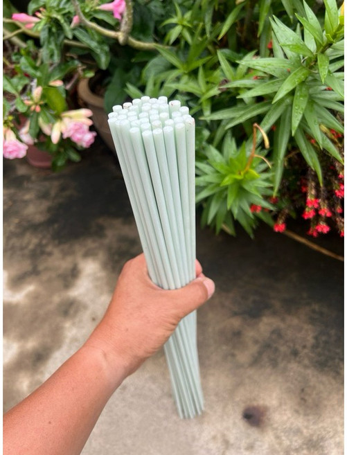 玻璃纖維桿棒 園藝植物支撐架 實心高硬度固定桿, 1個, 白色6mm*60cm 限宅配