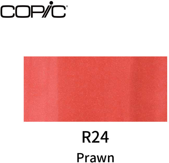 COPIC 酒精性雙頭麥克筆 紅色系 系列 單支, 1個, R24, 紅色系, R24