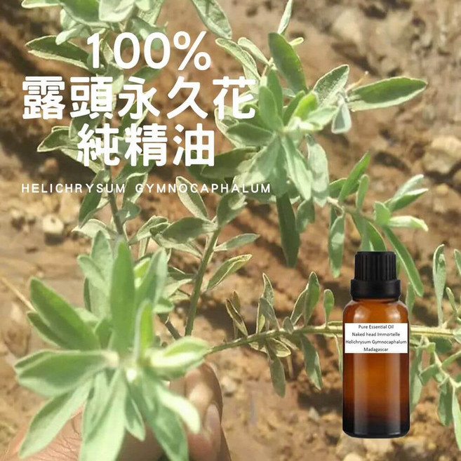 露頭永久花 純精油 鷹草永久花, 1個, 100ml