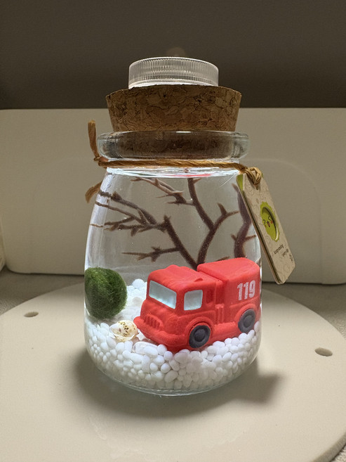 DIY 療癒系 景觀生態瓶 綠藻球, 5個