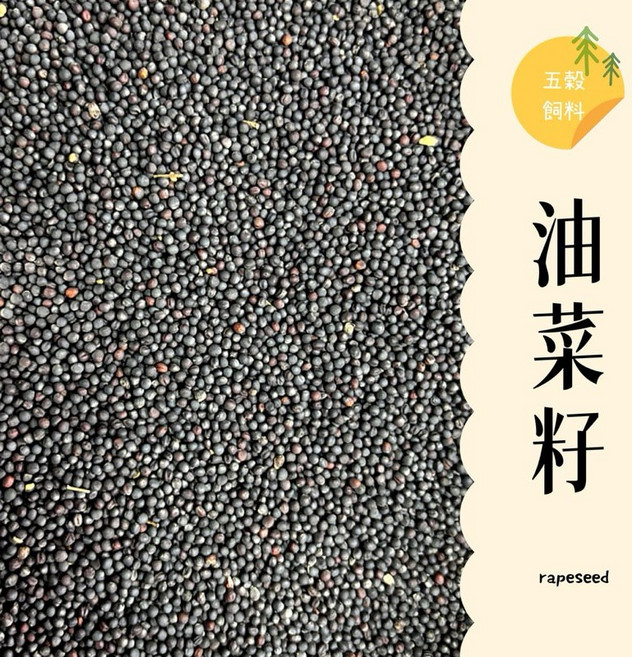 大台南五穀糧倉 油菜籽 鳥類飼料 菜籽 鳥飼料 鴿子飼料 倉鼠飼料 鸚鵡 種子, 1個, 300克