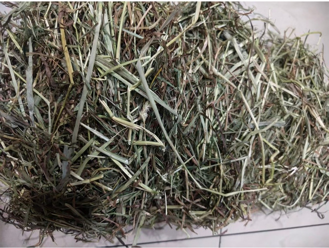 提摩西二割牧草 自然晾曬 草香濃郁 營養完整 USDA有機認證, 1個, 1kg, 1kg