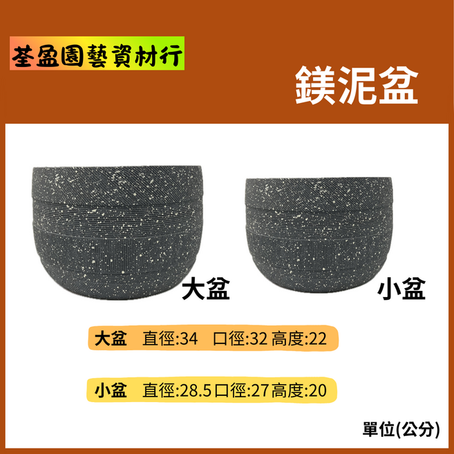 荃盈園藝資材行 水泥盆 大小盆栽組合 簡約風格園藝盆器 多肉植物盆栽, 水泥白點, 1個