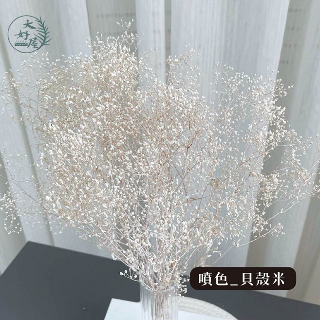 大好屋 迷你滿天星 百萬星 永生花乾燥花 花藝配花 室內裝飾, 貝殼米