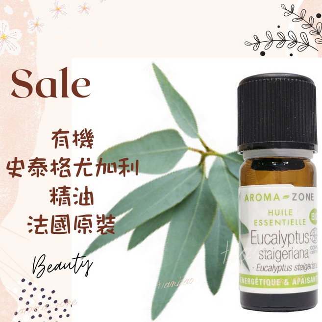AROMA ZONE 史泰格尤加利精油 法國原裝 HEBBD認證 檸檬清新香氣, 1個