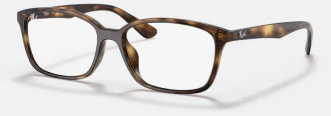 Ray Ban 雷朋 RX7094D 方形膠框光學眼鏡
