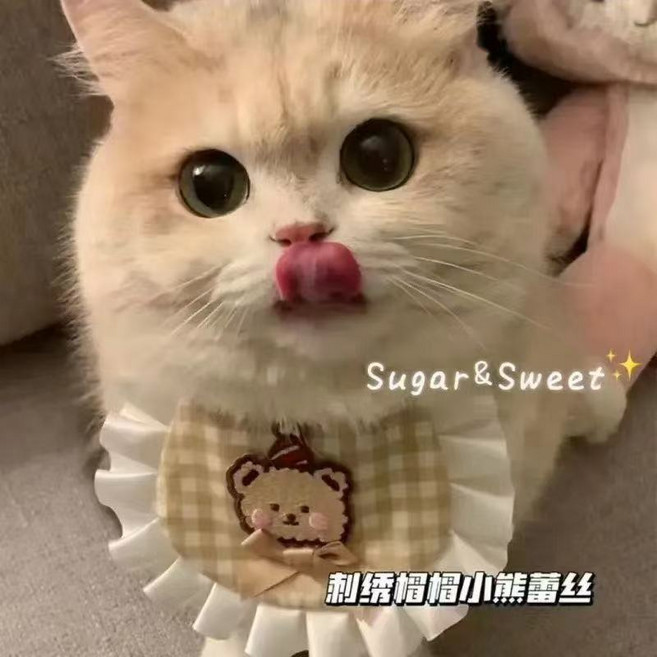 寵物領巾 貓咪狗狗口水巾 調整型圍兜圍脖 網紅拍照飾品 毛小孩項圈 柔軟不勒脖, 刺繡小帽熊, 1個