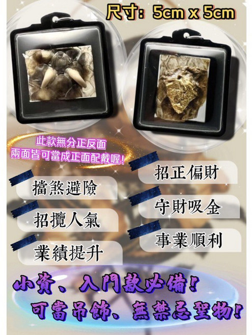 阿贊濕 蛇爪倒勾型佛牌 招財避險 守財吸金, 1個