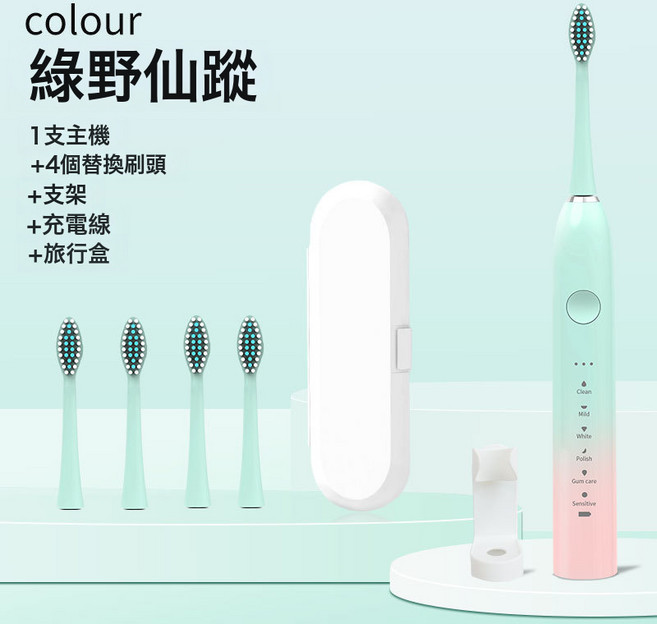 軟毛充電款全自動金屬軸18檔電動牙刷沖牙器學生情侶款, 1個, 【配8支刷頭+旅行盒】, 綠野仙蹤