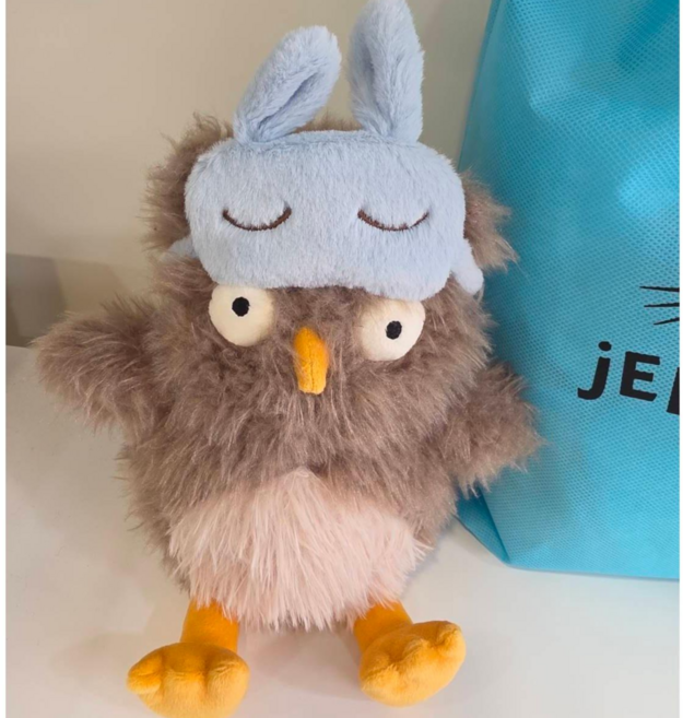 Jellycat 奧黛麗貓頭鷹 絨毛玩偶, 圖片, 1個