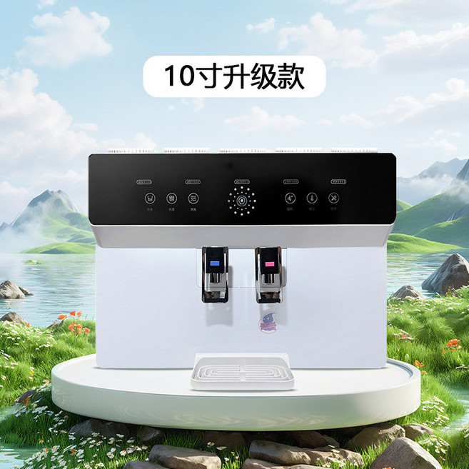凈水器傢用RO反滲透語音加熱一體機廚房自來水過濾直飲純水機批髮, 10寸升级款