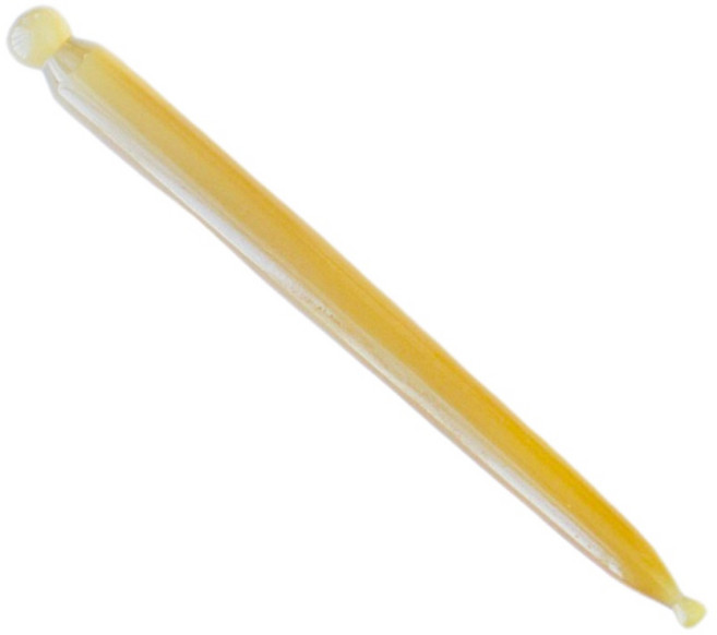 天龍紡 牛角點穴筆 穴道按摩棒 全身刮痧工具, 牦牛角點穴筆, 1個