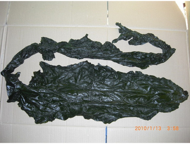 海帶王子 鹽漬海帶條, 600g, 1套