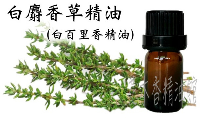白麝香草精油/ 白百里香精油/ 百里香 精油 10ml 、30ml 、50ml, 1個, 50ml