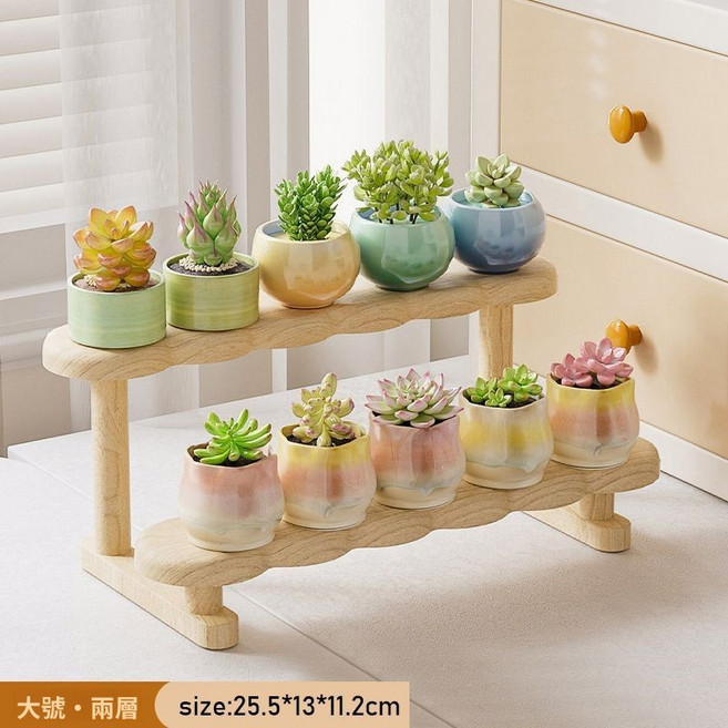 多肉架子 3層階梯式盆栽展示架, 【2層大階梯式】多肉架子 PM290, N/A, 2層, 大階梯式