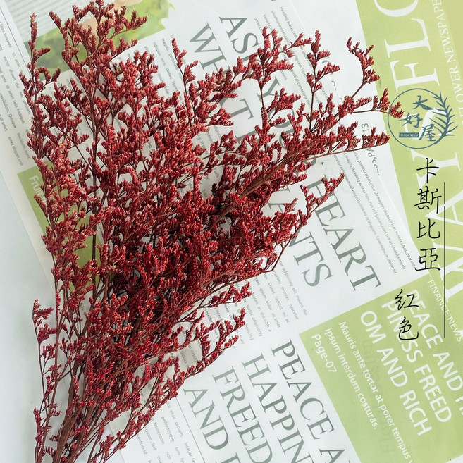 大好屋 永生花 DIY手作 攝影道具 浮游花 居家裝飾, 卡斯比亞【紅色】小包裝