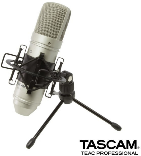 TASCAM TM-80 電容式麥克風 銀色 公司貨 保固一年