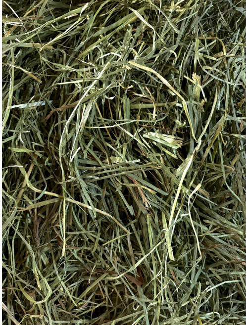 HW 已過篩美國頂級果園草 兔子天竺鼠倉鼠主食 高纖低粉塵 促進消化, 500g, 1個