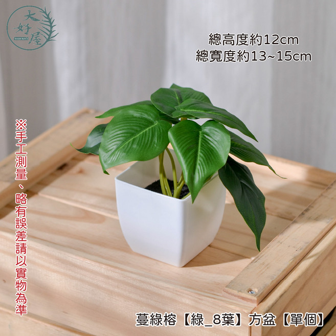 大好屋 仿真迷你盆栽 仿真綠植盆栽 辦公室小物 室內裝飾, 蔓綠榕, 1個