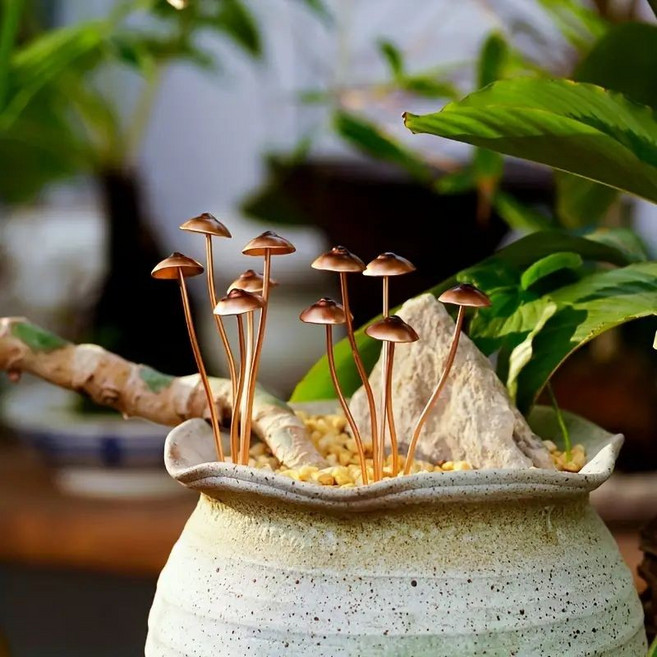 金屬小蘑菇 微景觀多肉植物擺件, 金屬小蘑菇-微景觀多肉植物擺件 拍一髮二