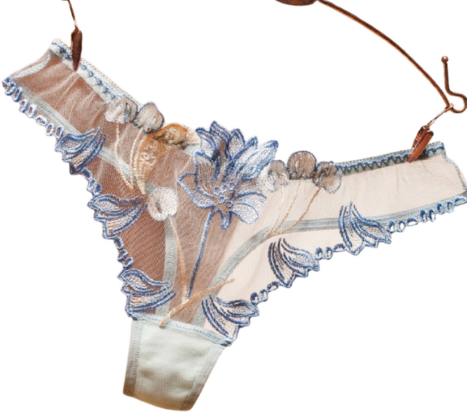 LUCISSI 露西小舖 刺繡網紗內褲 透氣無痕 低腰蕾絲 舒適多色均碼, 藍色,均碼(適合體重40-60kg)