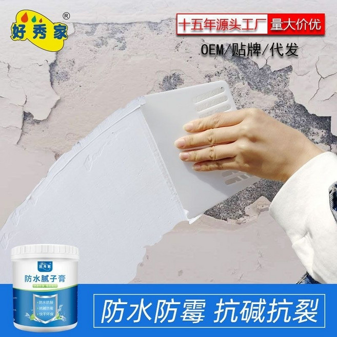 牆面壁癌防水補牆膏 白色防黴抗裂水泥膩子 室內外牆面修補, 1個