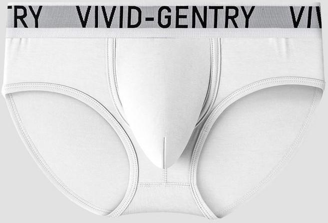 VIVID-GENTRY 男士三角內褲 3D立體大兜袋 竹纖維 高彈性 透氣