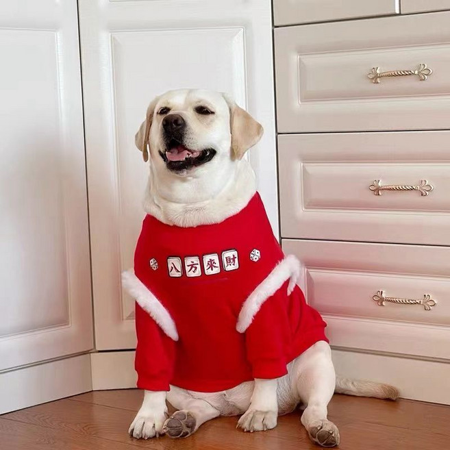 狗狗新年保暖衛衣 中大型犬秋冬季喜慶服飾, 八方來財-加絨衛衣面料,XL碼(建議60-70斤), 1個