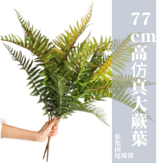 大蕨葉 仿真植物 77公分, 綠紅色, 1個