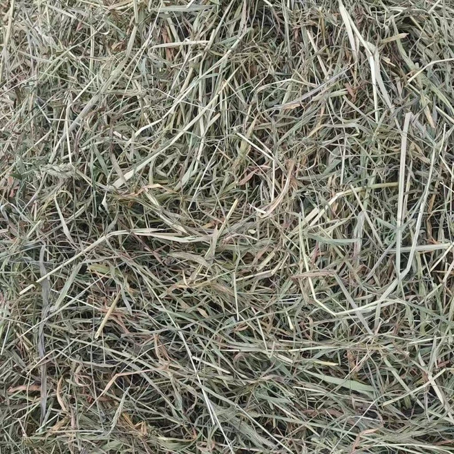 提摩西二割牧草 USDA有機認證 乾淨無雜質, 1個, 3kg, 3kg, 提摩西