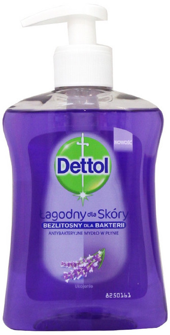DETTOL 滴露蘆薈薰衣草洗手乳250ml 溫和潔淨呵護雙手, 1個, 薰衣草紫 #52961