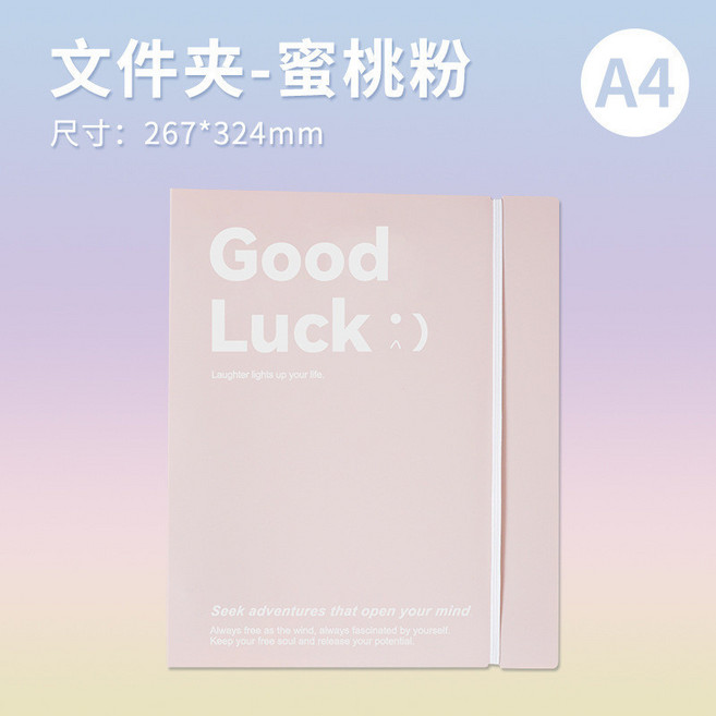 文件夾-海鹽藍 活頁文件夾 A4尺寸 資料收納冊, 1個, 粉色