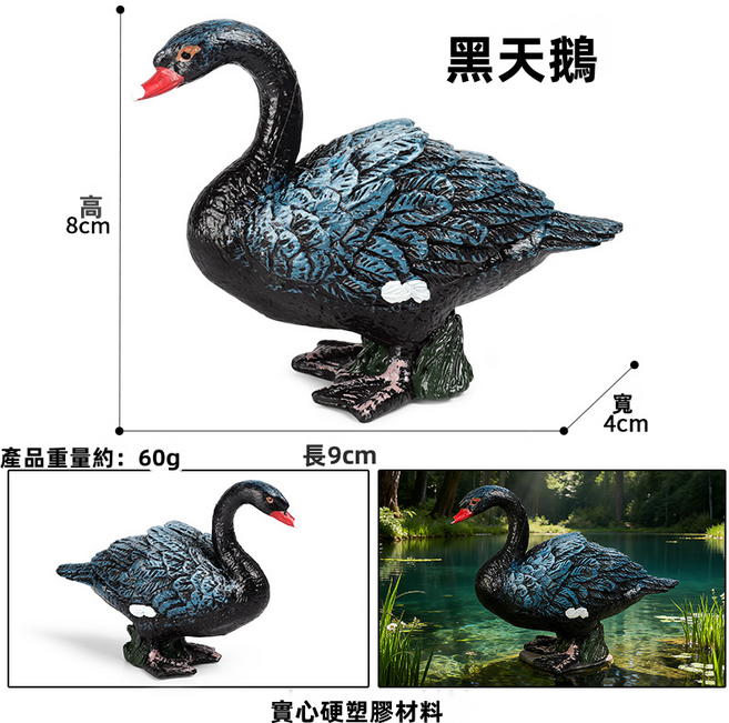 兒童認知仿真野生動物模型家禽雞鴨鵝孵蛋白天鵝展翅獅頭鵝大黃鴨, 1個, M-1612坐草黑天鵝:223