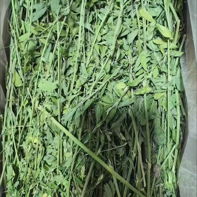 小型寵物苜蓿草,適用倉鼠兔子天竺鼠,富含纖維與鈣質,1公斤裝, 1kg, 1個