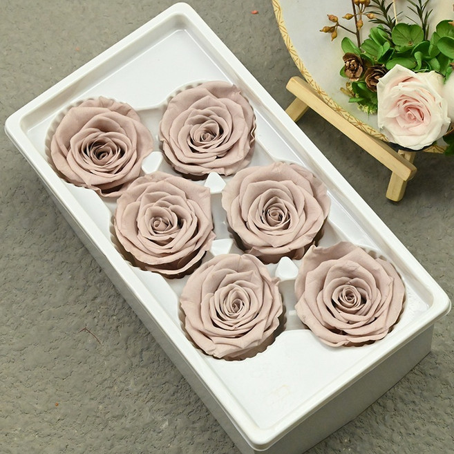 永生玫瑰花5~6cm A級 不凋玫瑰花乾燥花 浮游花 DIY手作, 卡其