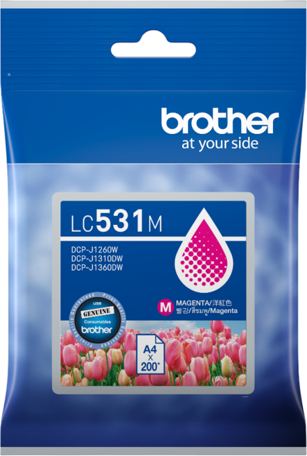 Brother LC531 原廠標準容量墨水匣 適用J1360DW 原廠公司貨, 紅色 M, 1套