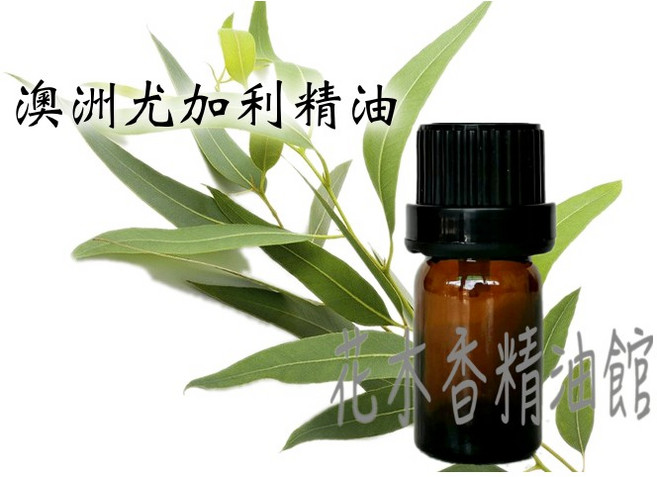 澳洲尤加利精油, 1個, 10ml